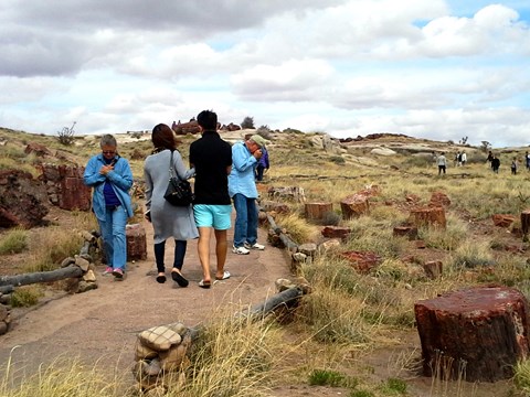 Hikers on a trail through grassland dotted with pieces of petrified wood under a mostly cloudy sky.