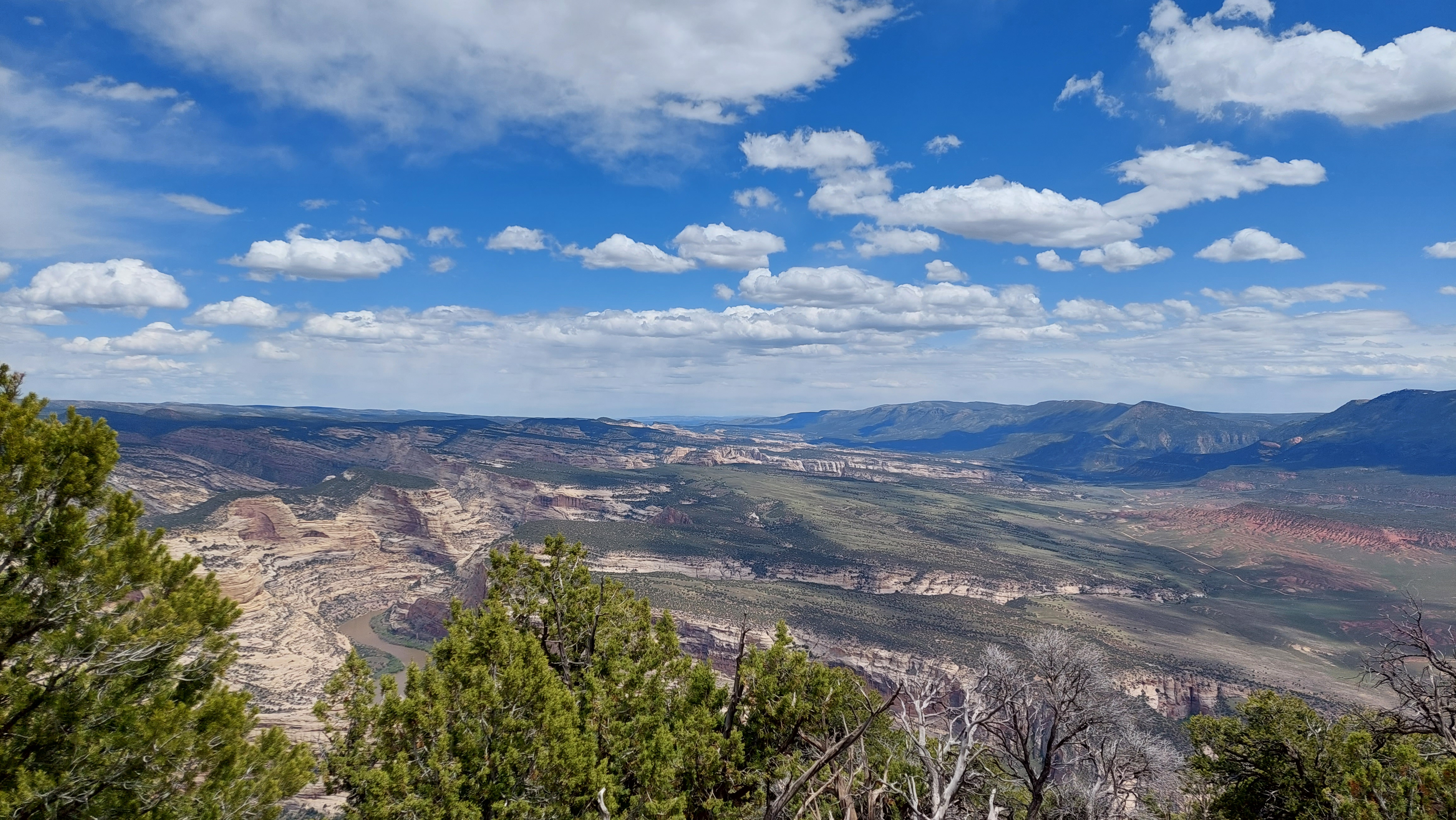 Harpers Corner Trail Stop 8