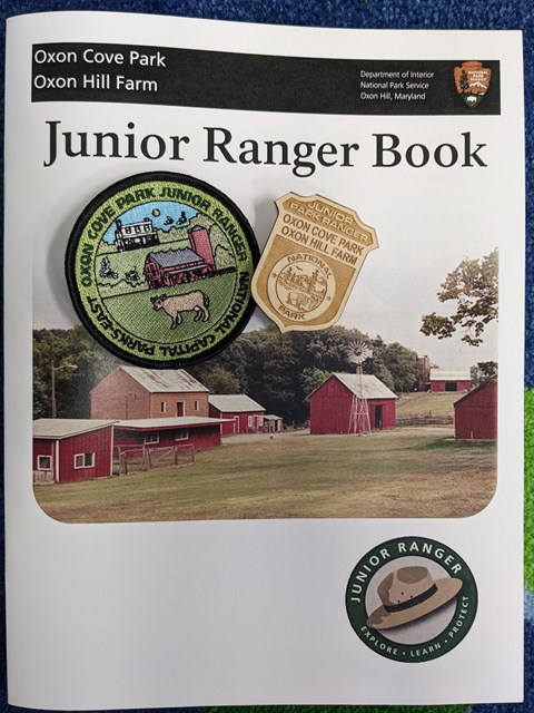 a Junior Ranger badge and patch sit atop an activity book