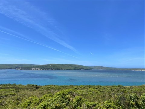 Light blue water with dark blue currents and small white caps visible; green grasses and shrubs