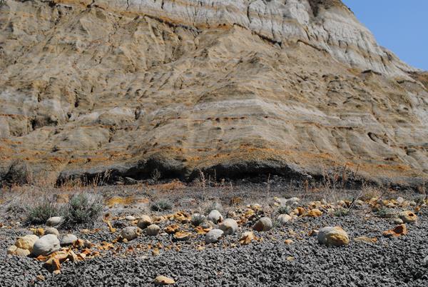 Layers of different colored stone, with plants growing along the top