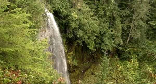 140 foot waterfall surrounded by trees