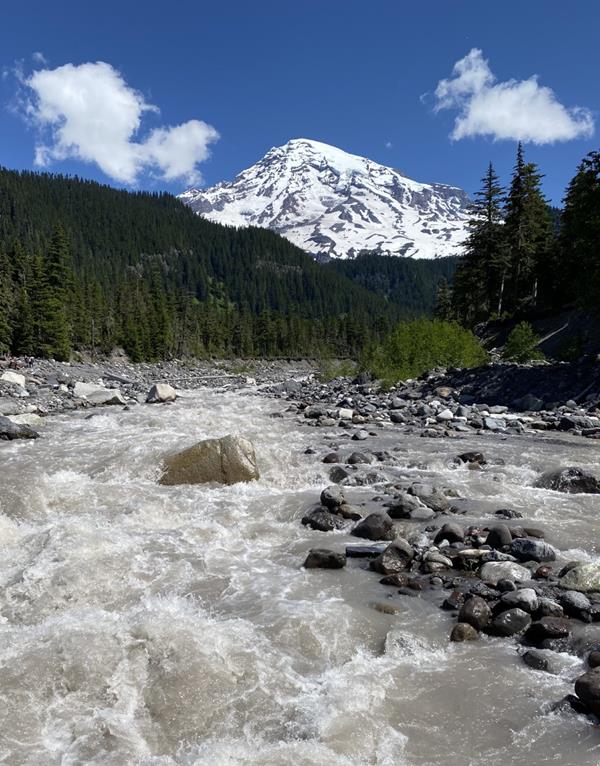 Mount Rainier with a few clouds in the sky. Below the mountain are tall evergreen trees and a river.
