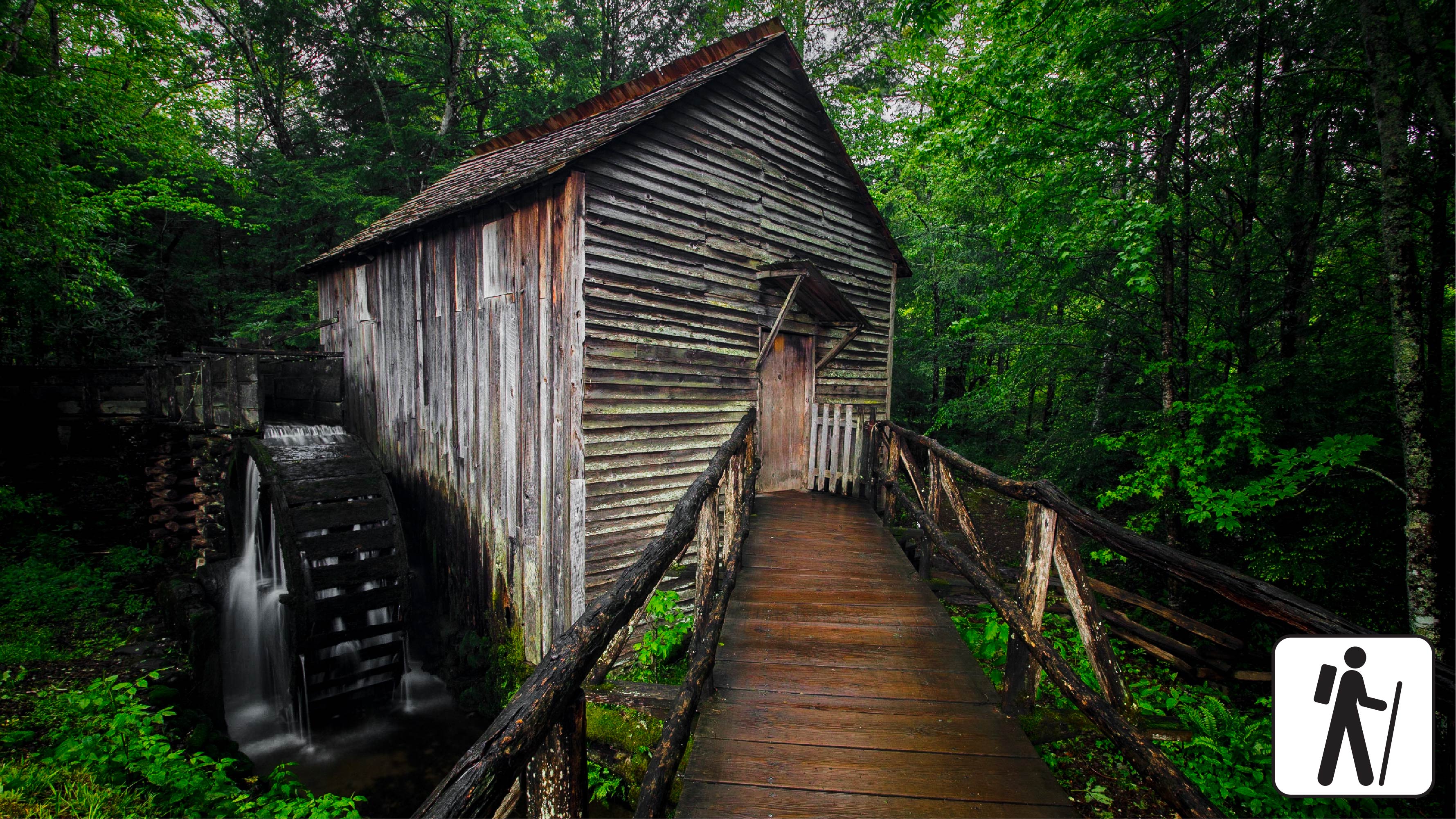 A mill house with a ramp leading to the entrance tucked in a lush forest.