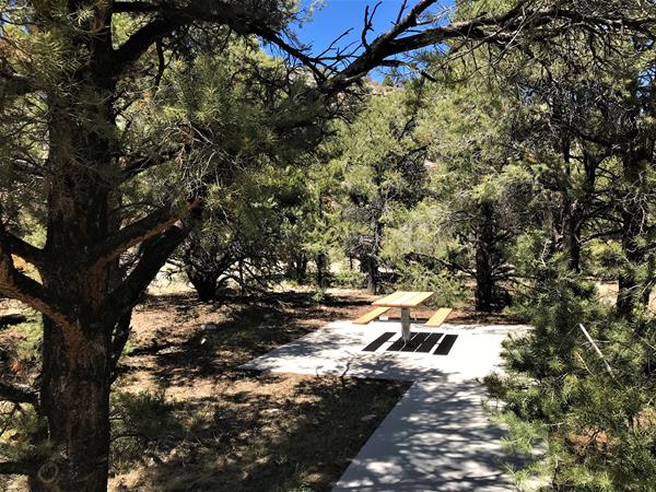 brown picnic table surrounded but juniper and pine treed