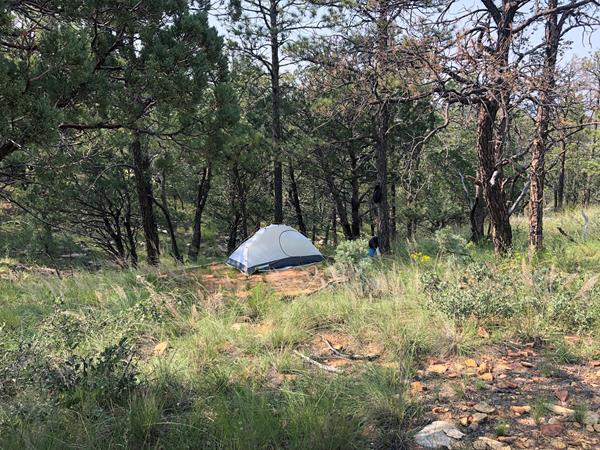 Tent on a dirt pad in a lightly forested environment