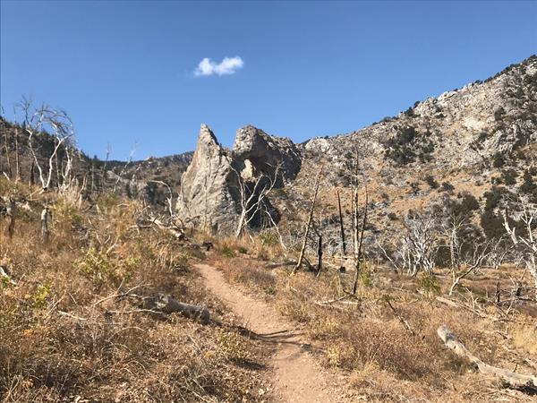 Trail leading to Lexington arch with burned trees around