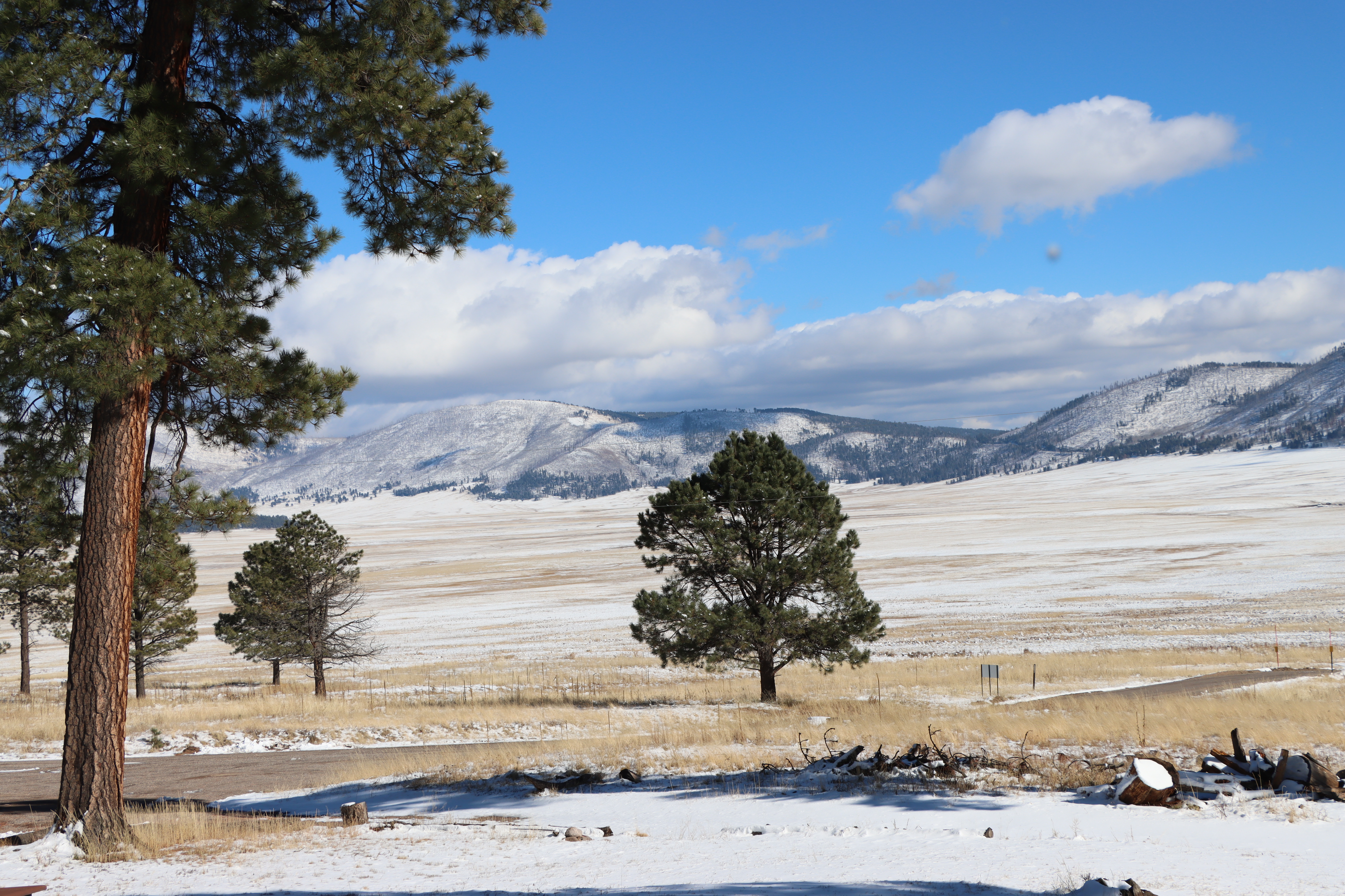 Valle Grande from the Cabin District