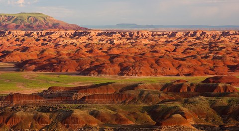 Grassland between red badlands with mesas in the distance.