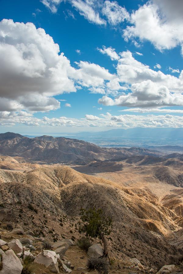 Dry rocky mountains with a small tree leading to a valley in the distance under puffy clouds.