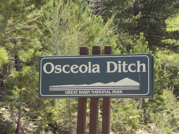 Wooden green and white road sign.