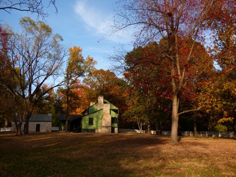A collection of trees in the fall with a mix of red colors surround a green two-story frame house.