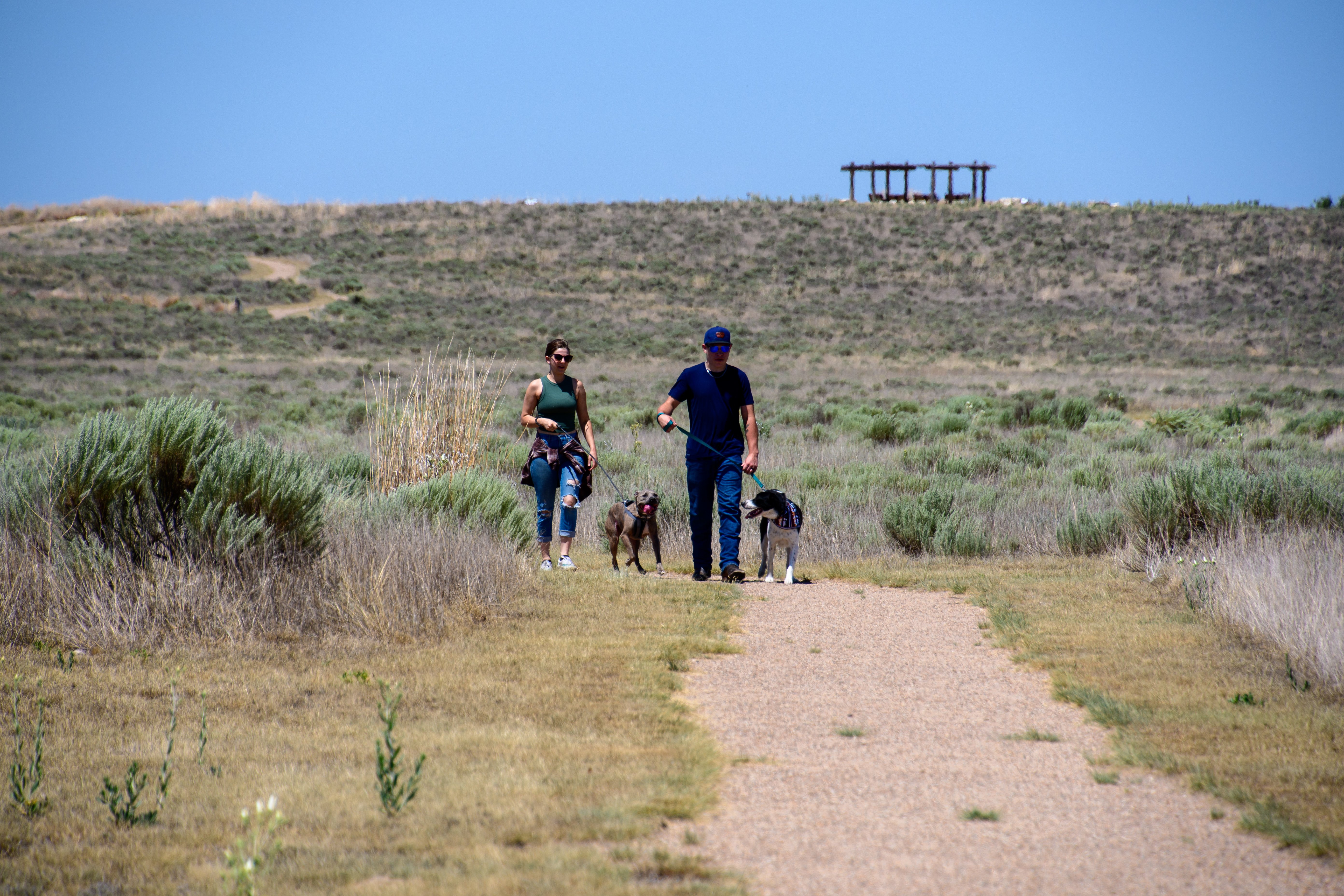 Be a Sand Creek B.A.R.K. Ranger