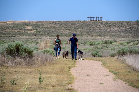 Two humans walk two B.A.R.K. Rangers on leashes on a trail
