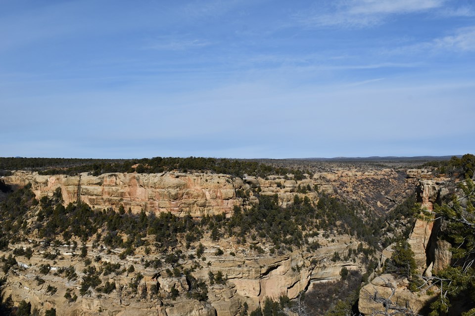 Cliff canyon stretches out across the landscape. Junipers and pinyon pines dot the sandstone slopes.