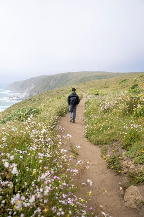 A man hikes through light fog on a dirt path through wildflowers, along a coastal bluff