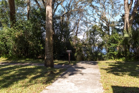 a trail leads to woods