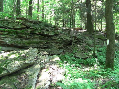 a rock outcropping in a deciduous forest with ferns along a blazed footpath