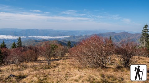 Sweeping mountain views. Shrubs and short trees in a grassy field in the foreground plus hiker icon.