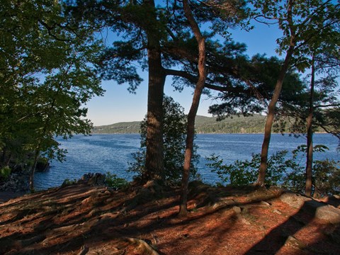 A River with a wooded setting in the foreground.