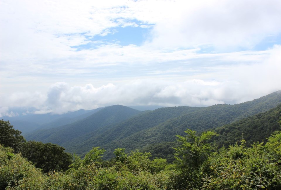 Mountain ridge line covered in lush green trees and white puffy clouds above