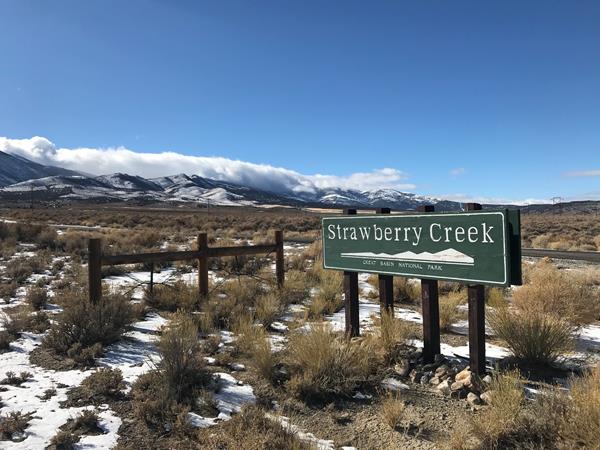 Green and white road sign for Strawberry Creek