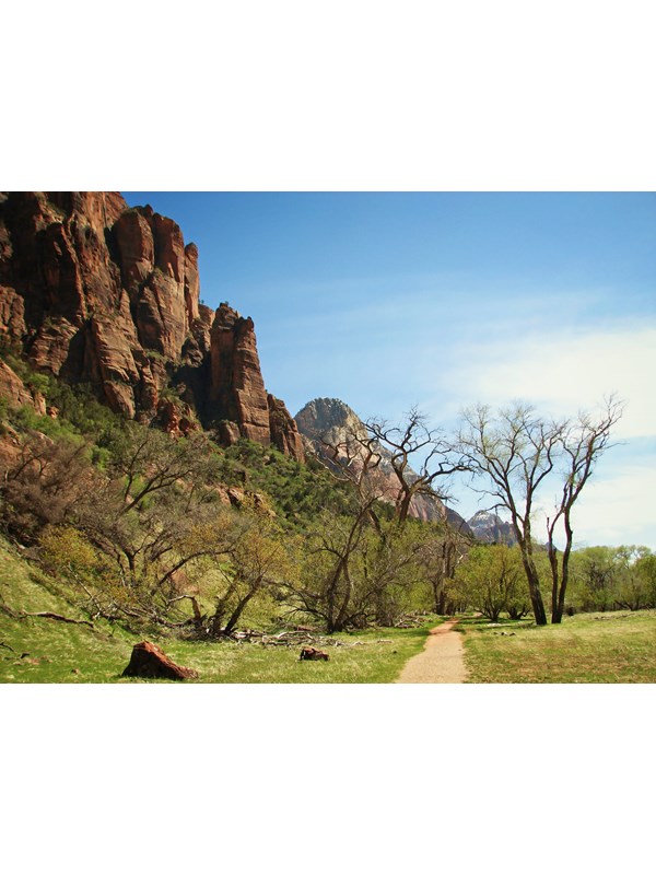 A tan path crossing green grass into a stand of trees. A red sandstone mountain is to the left.