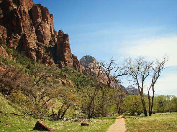 A tan path crossing green grass into a stand of trees. A red sandstone mountain is to the left.