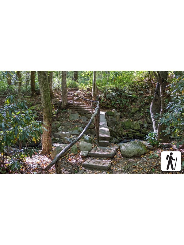 Stairs and a log bridge with handrails cross a stream near trees and rocks. A hiker icon in corner.