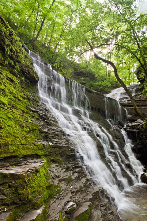 Water cascades down wet and moss-covered rocks. Trees with green leaves surround the waterfall.