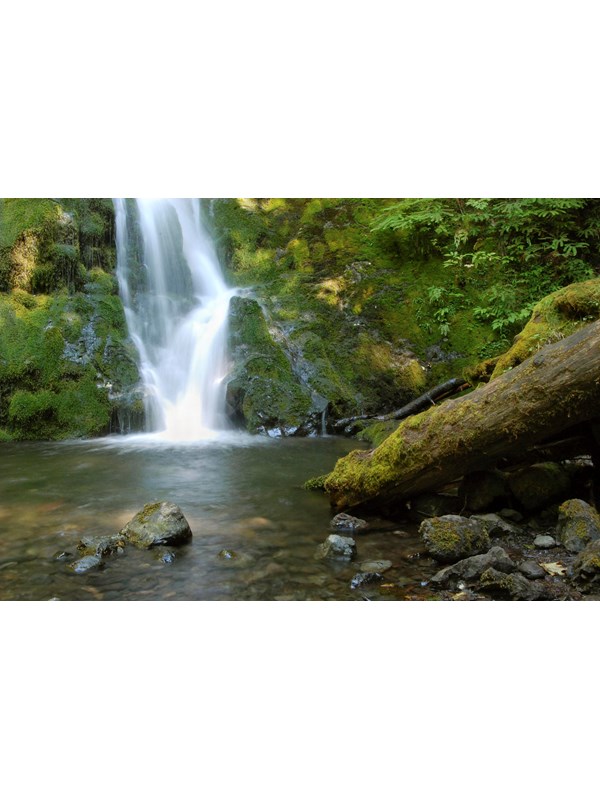 A waterfall rushes over mossy rocks to a pond below.