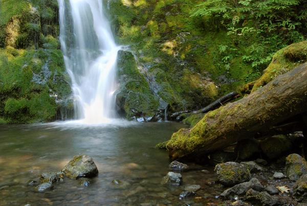 A waterfall rushes over mossy rocks to a pond below.