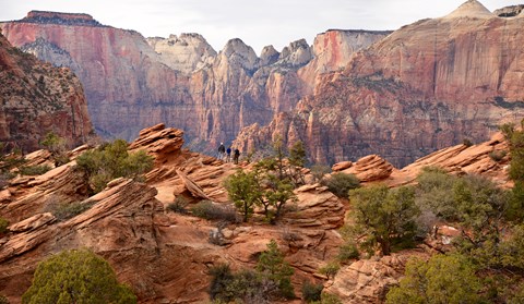 Red sandstone slickrock dotted with green foliage with mountains in the background.