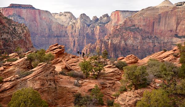 Red sandstone slickrock dotted with green foliage with mountains in the background.