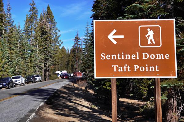 Brown metal trailhead sign with arrow alongside road