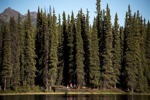 people sitting on a forested lakeshore