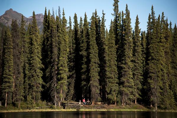 people sitting on a forested lakeshore