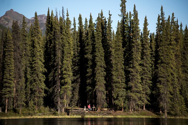 people sitting on a forested lakeshore