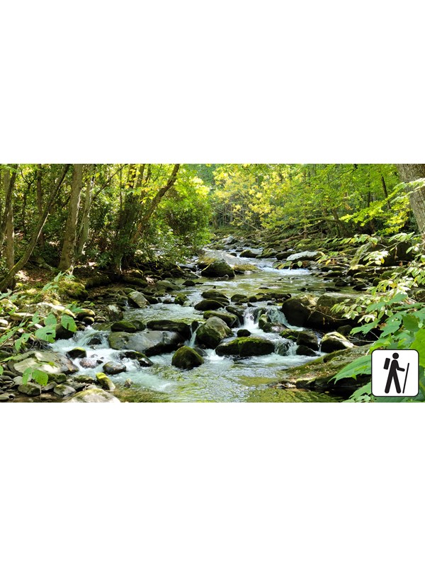 A rocky river lined by green trees and shrubs. A hiker icon in the lower right corner of photo.