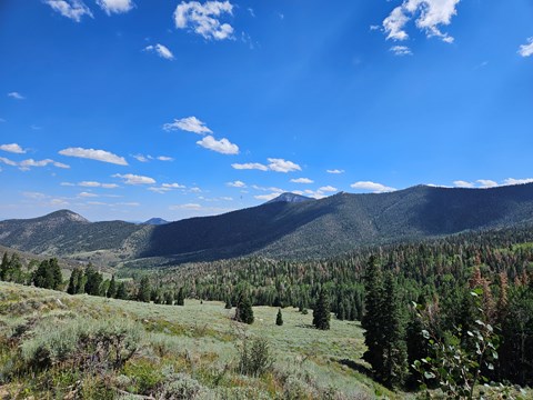 A wide open valley stretches beyond a trail the viewer stands on. Grey rocks, mint green shrubs.