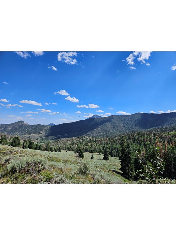 A wide open valley stretches beyond a trail the viewer stands on. Grey rocks, mint green shrubs.
