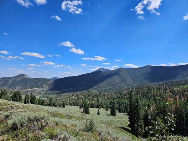 A wide open valley stretches beyond a trail the viewer stands on. Grey rocks, mint green shrubs.