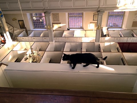 A black cat walks along an upper floor ledge that overlooks pews in a church.