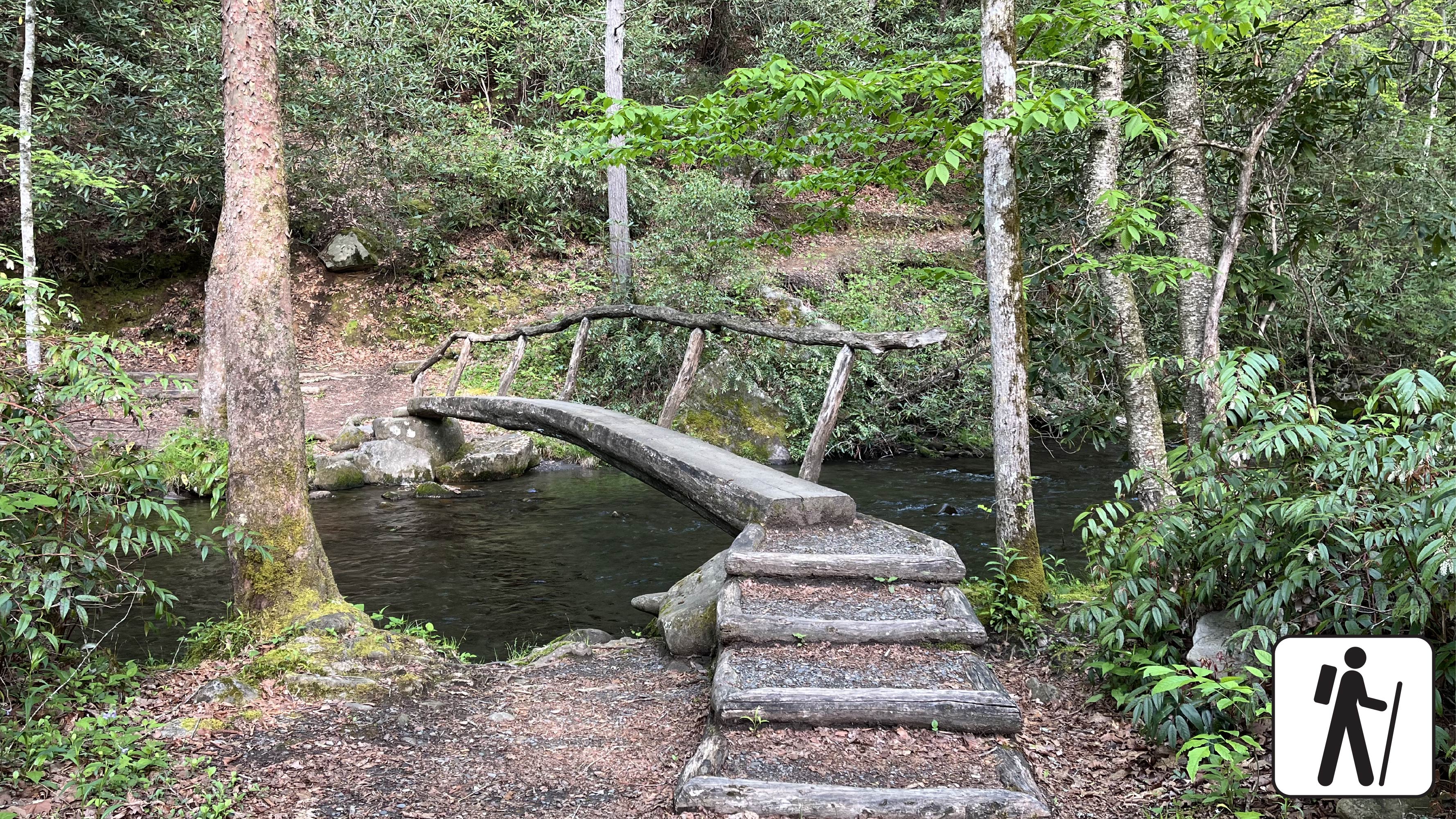 A footlog bridge over a stream in the forest.