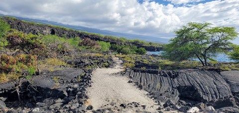 A sandy trail leads out along the coastline surrounded by black lava rock and vegetation.