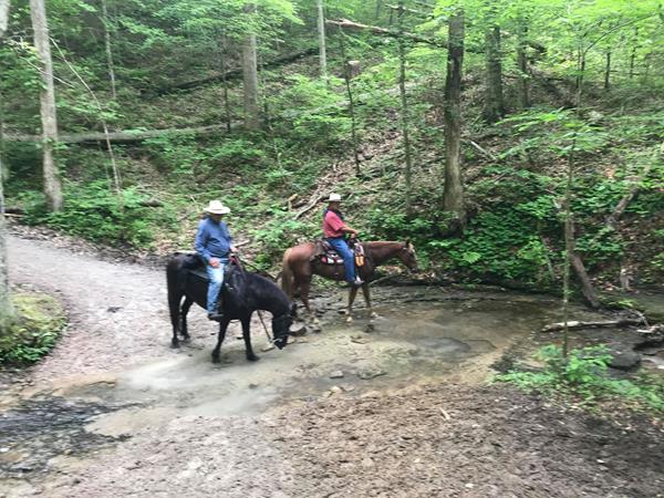 Two people on horseback cross a small stream