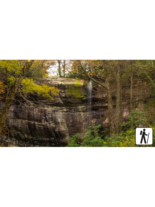A thin waterfall on a rocky cliff surrounded by trees. Hiker icon in corner.