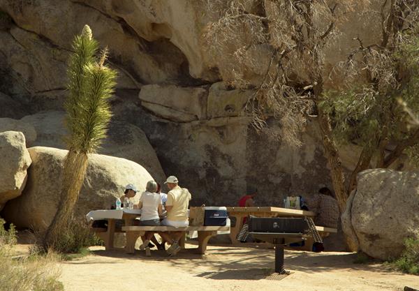 People sitting at a picnic table in front of a large rock.