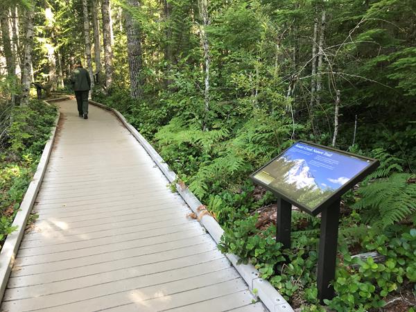 A wayside panel in a metal stand next to a boardwalk surrounded by forest.