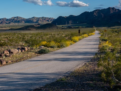 A path cuts through a desert landscape with mountains in the backround.